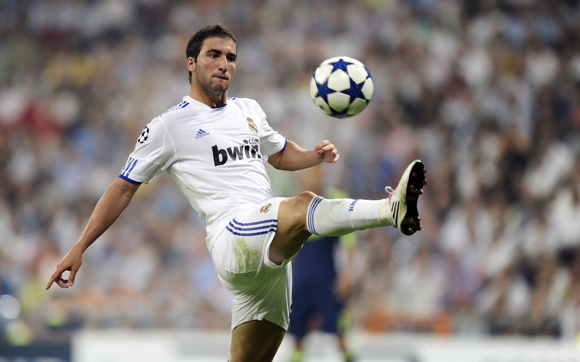 青少年人才培养指标不断提升，未来可期，青年人才 培养